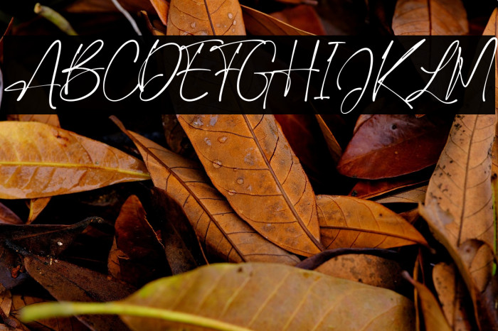 Jason Signature Example 1