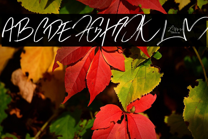 Jason Statan Example 3