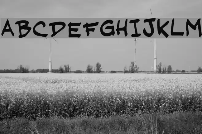 JasonFont Polices examples