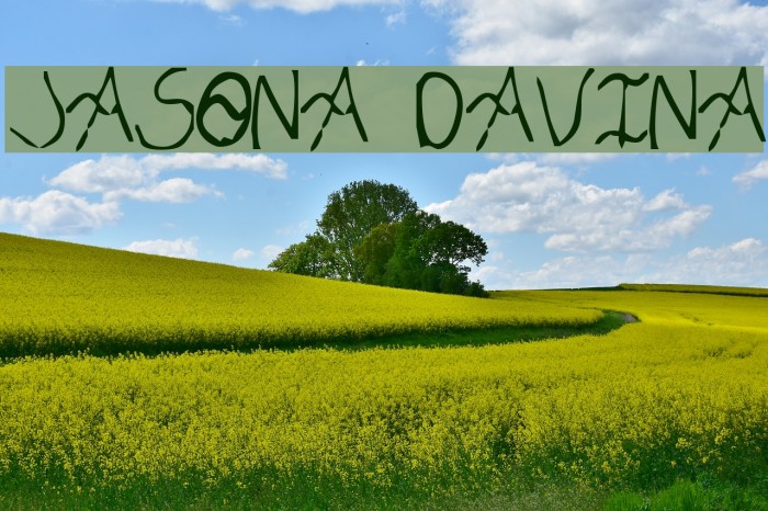 Jasona Davina Font examples
