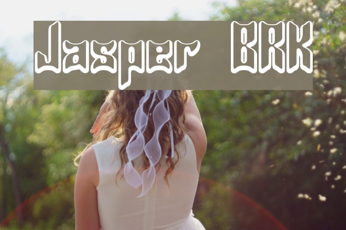 Jasper BRK Fuentes examples