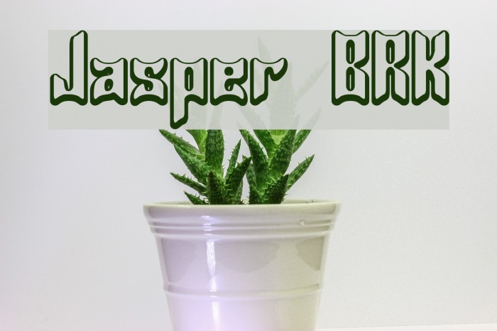 Jasper BRK Fuentes examples