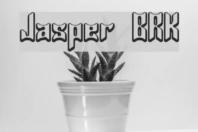 Jasper BRK Polices examples