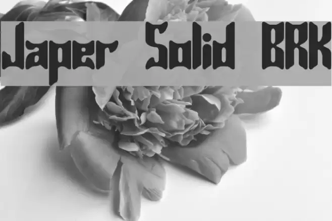 Jasper Solid BRK Fuentes examples