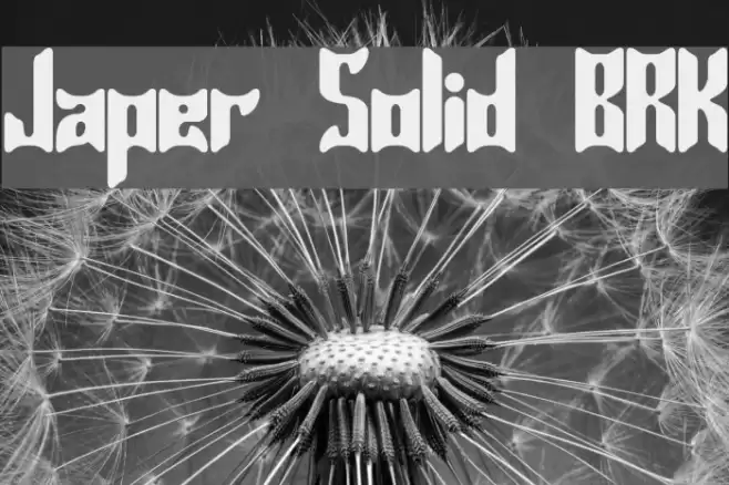 Jasper Solid BRK Fuentes examples