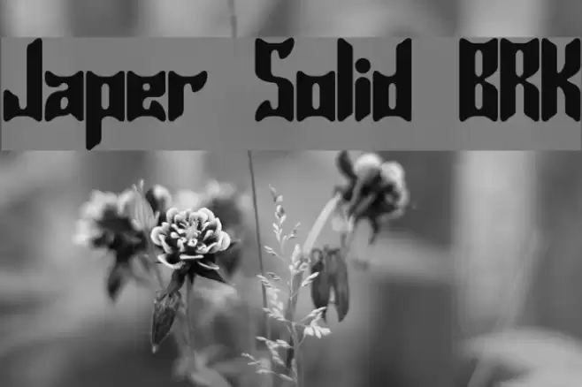 Jasper Solid BRK Fuentes examples