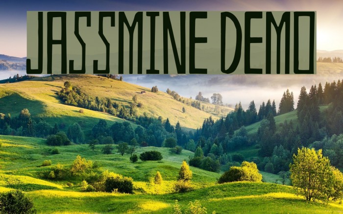 Jassmine Demo Font examples
