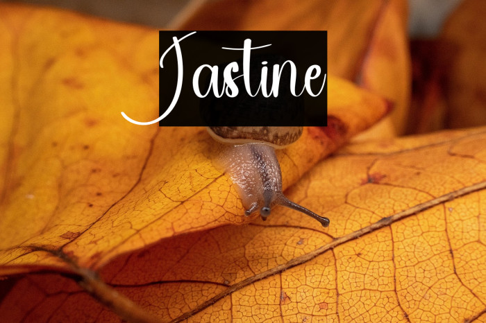 Jastine Example 1