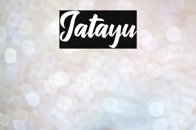 Jatayu Example 1