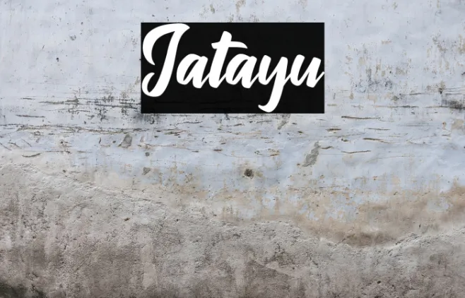 Jatayu Example 2