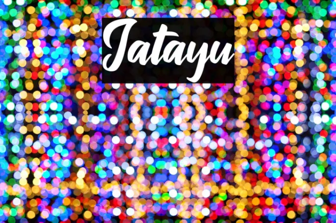 Jatayu Example 3