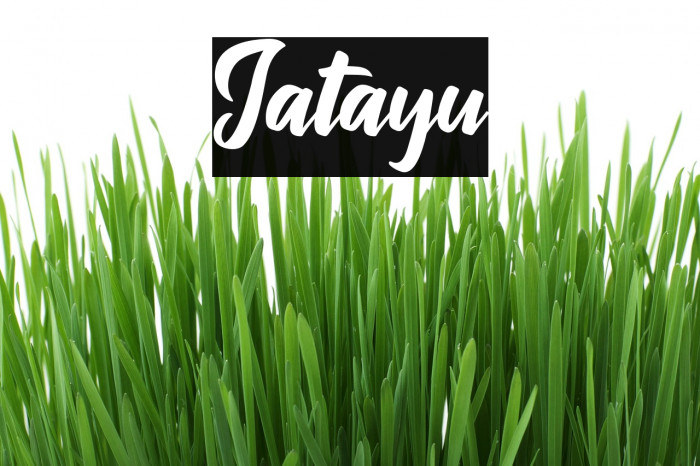 Jatayu Font examples