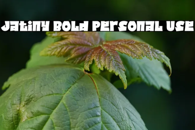Jatiny Bold Personal Use Example 1