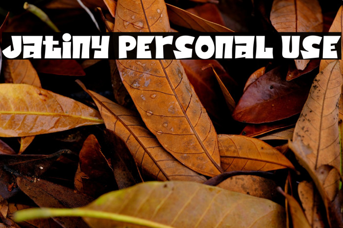 Jatiny Personal Use Example 2