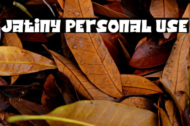 Jatiny Personal Use Example 2