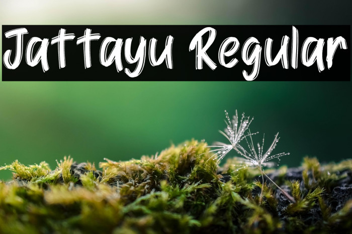 Jattayu Regular Example 1