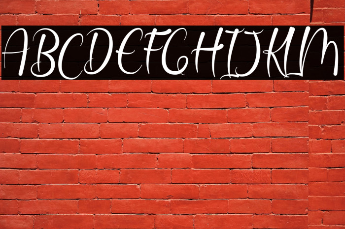 Jattestor Demo Example 1