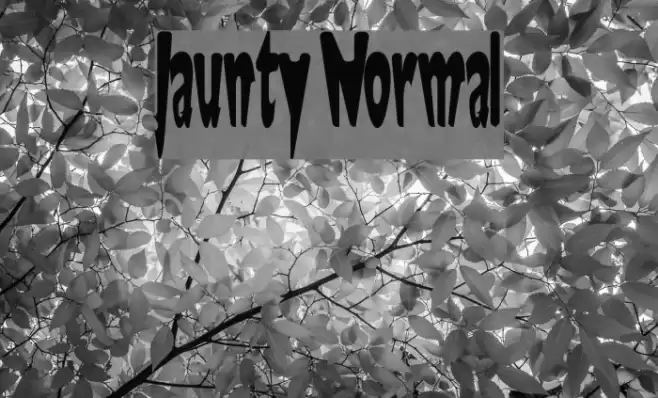 Jaunty Normal Font examples