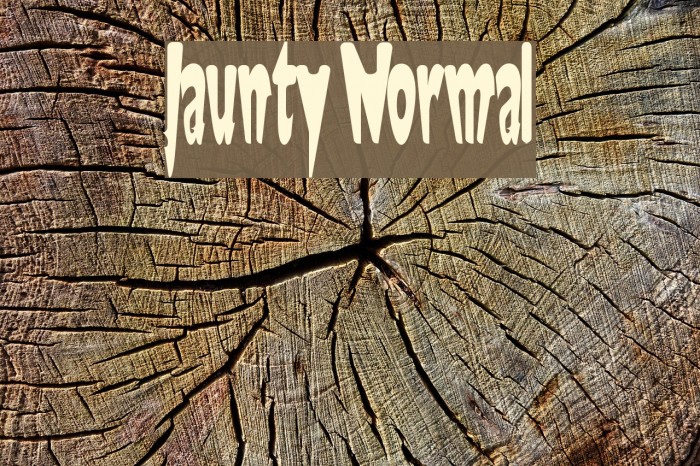 Jaunty Normal Font examples