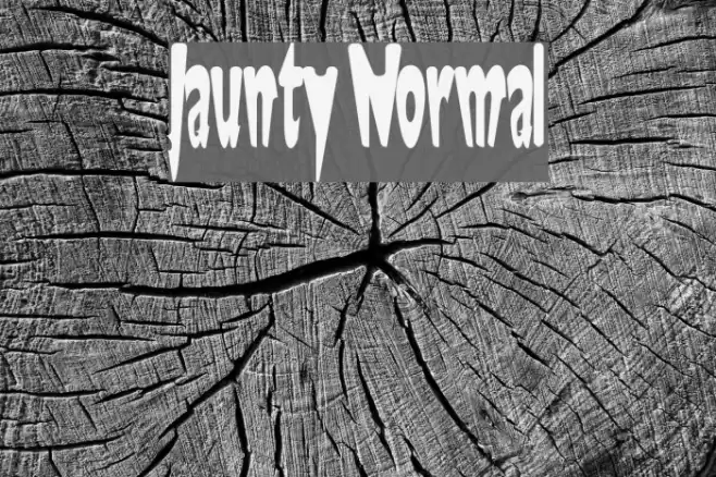 Jaunty Normal Font examples