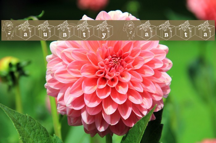 Jaunty Santa Example 2