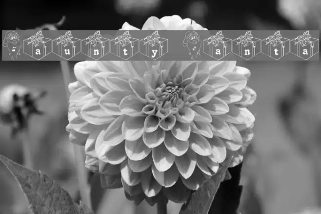 Jaunty Santa Font examples