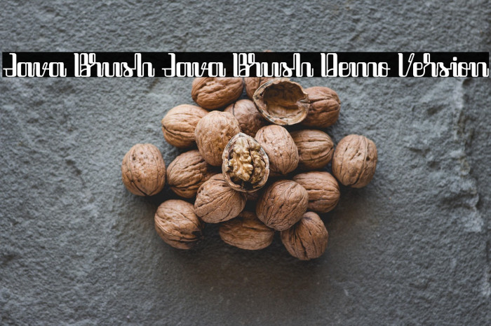 Java Brush Java Brush Demo Version Example 1