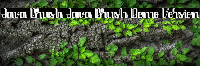 Java Brush Java Brush Demo Version Example 3