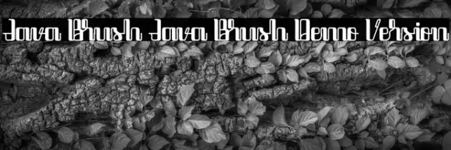 Java Brush Java Brush Demo Version Font examples