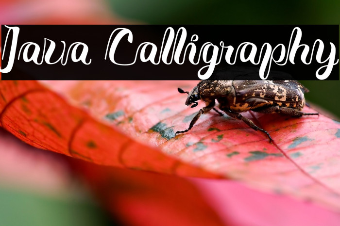 Java Calligraphy Example 3