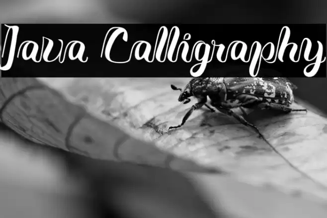 Java Calligraphy Font examples