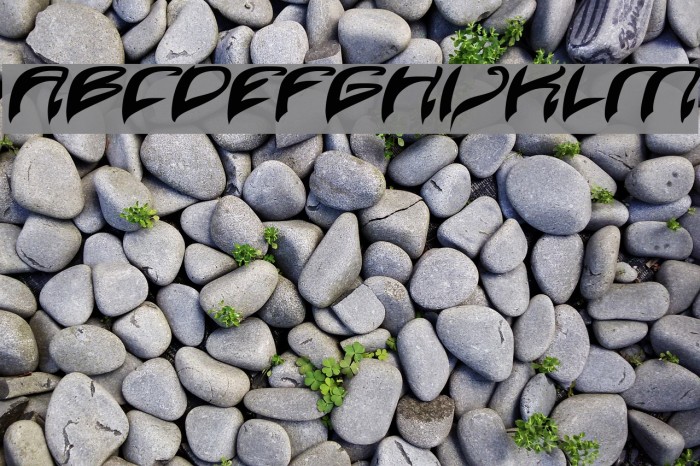 Java Island Bold Italic Example 3