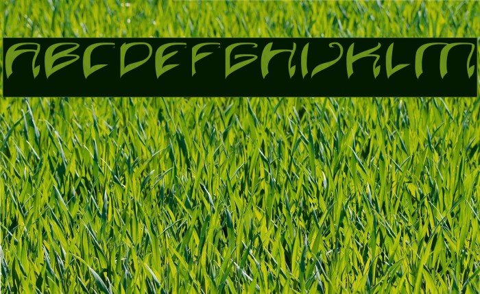 Java Island-Inverse Font examples