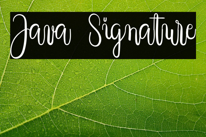 Java Signature Example 1