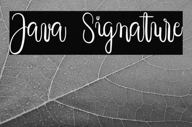 Java Signature Font examples