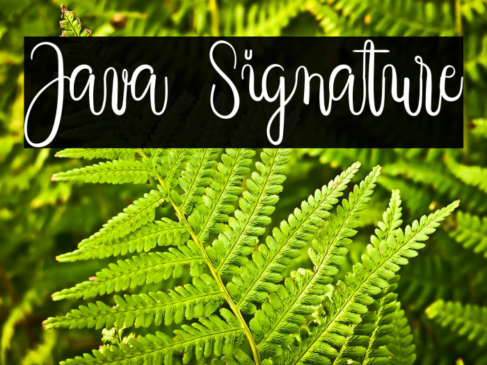 Java Signature Example 2