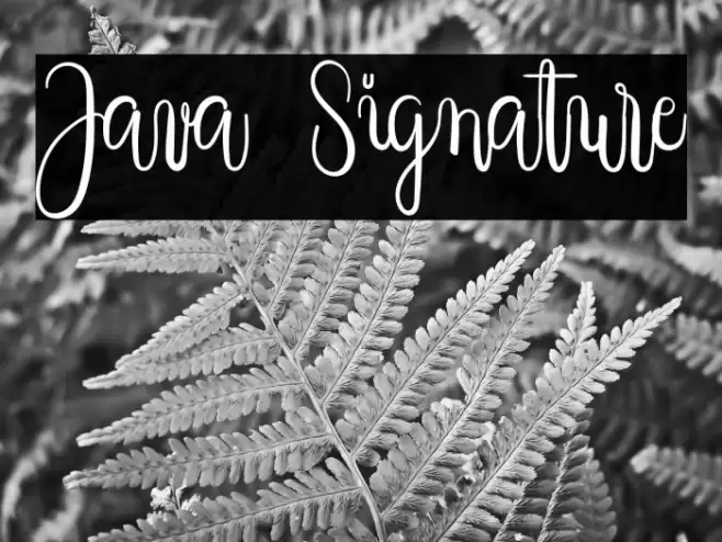 Java Signature Font examples