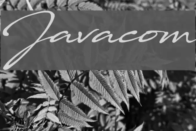 Javacom Font examples