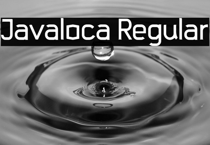 Javaloca Regular Example 1