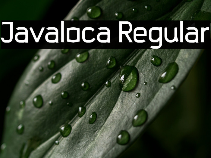 Javaloca Regular Example 2