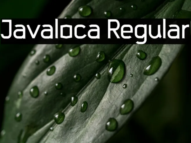 Javaloca Regular Example 2
