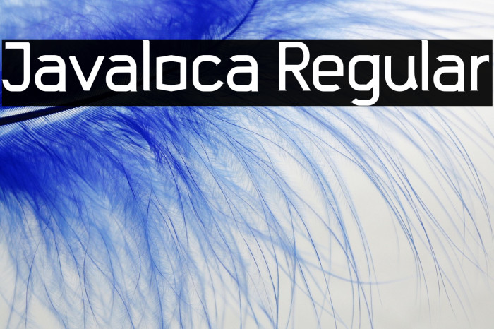 Javaloca Regular Example 3