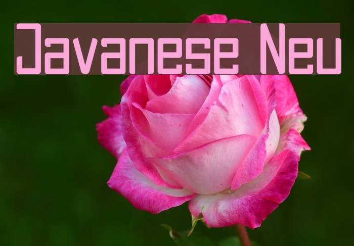 Javanese Neu Example 2