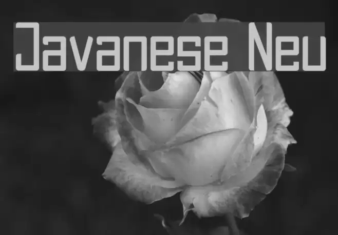 Javanese Neu Font examples