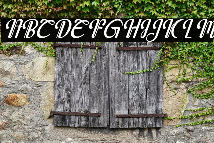 Javassoul Italic Example 2