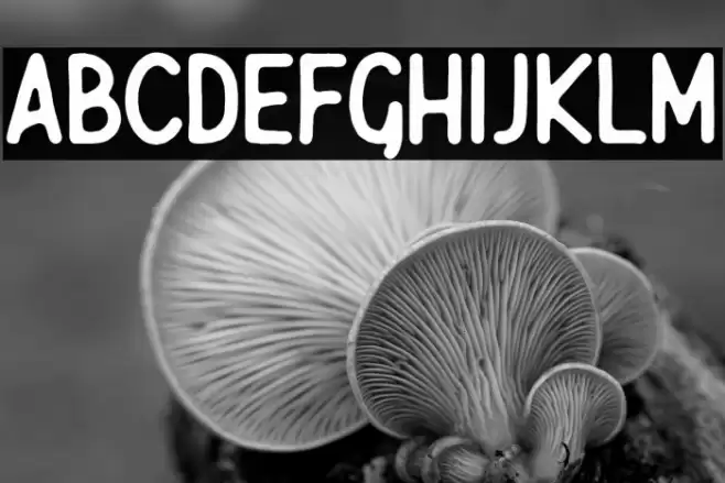 Javatages Font examples