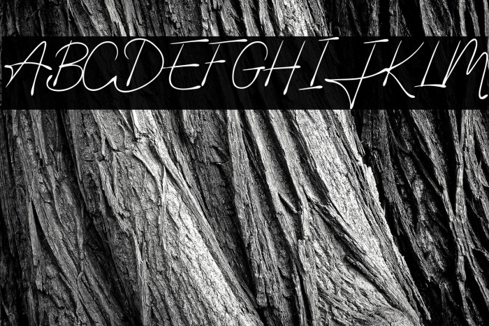 Javiersa Regular Example 3