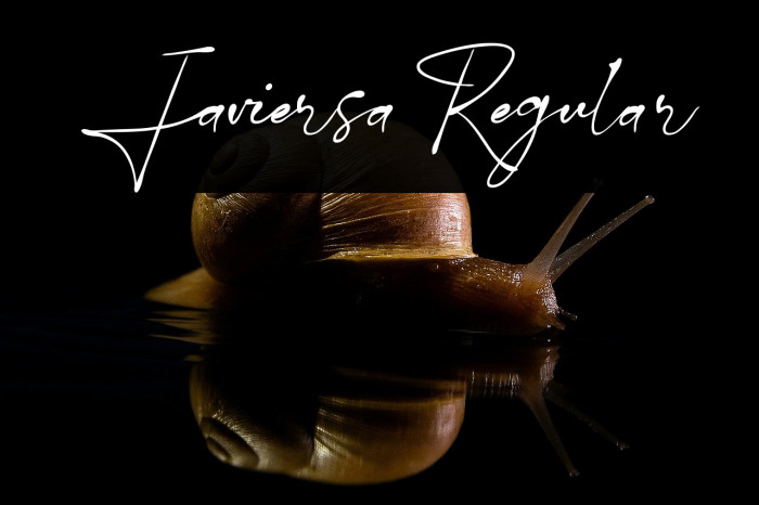 Javiersa Regular Example 2