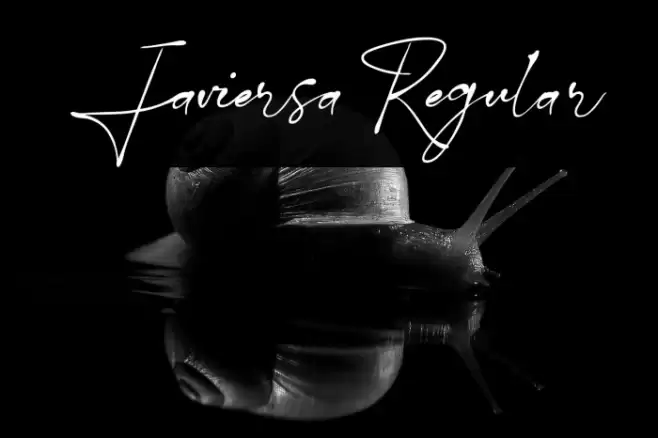 Javiersa Regular Font examples