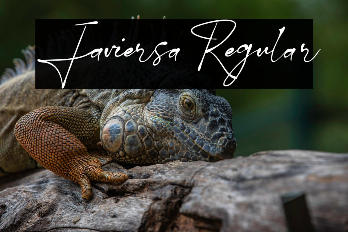 Javiersa Regular Example 3